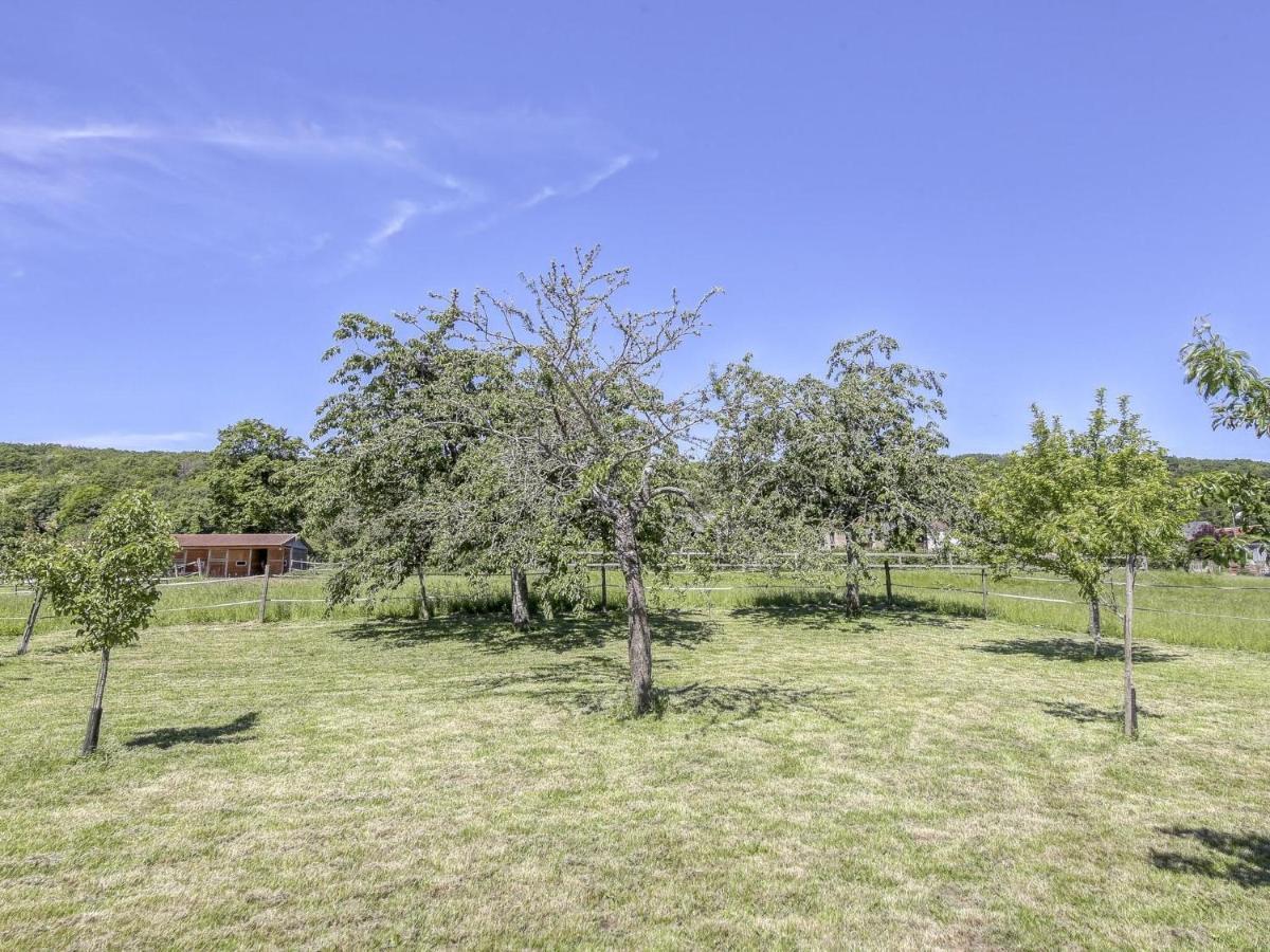 Burgundian Farmhouse In Talon With Fireplace Dış mekan fotoğraf